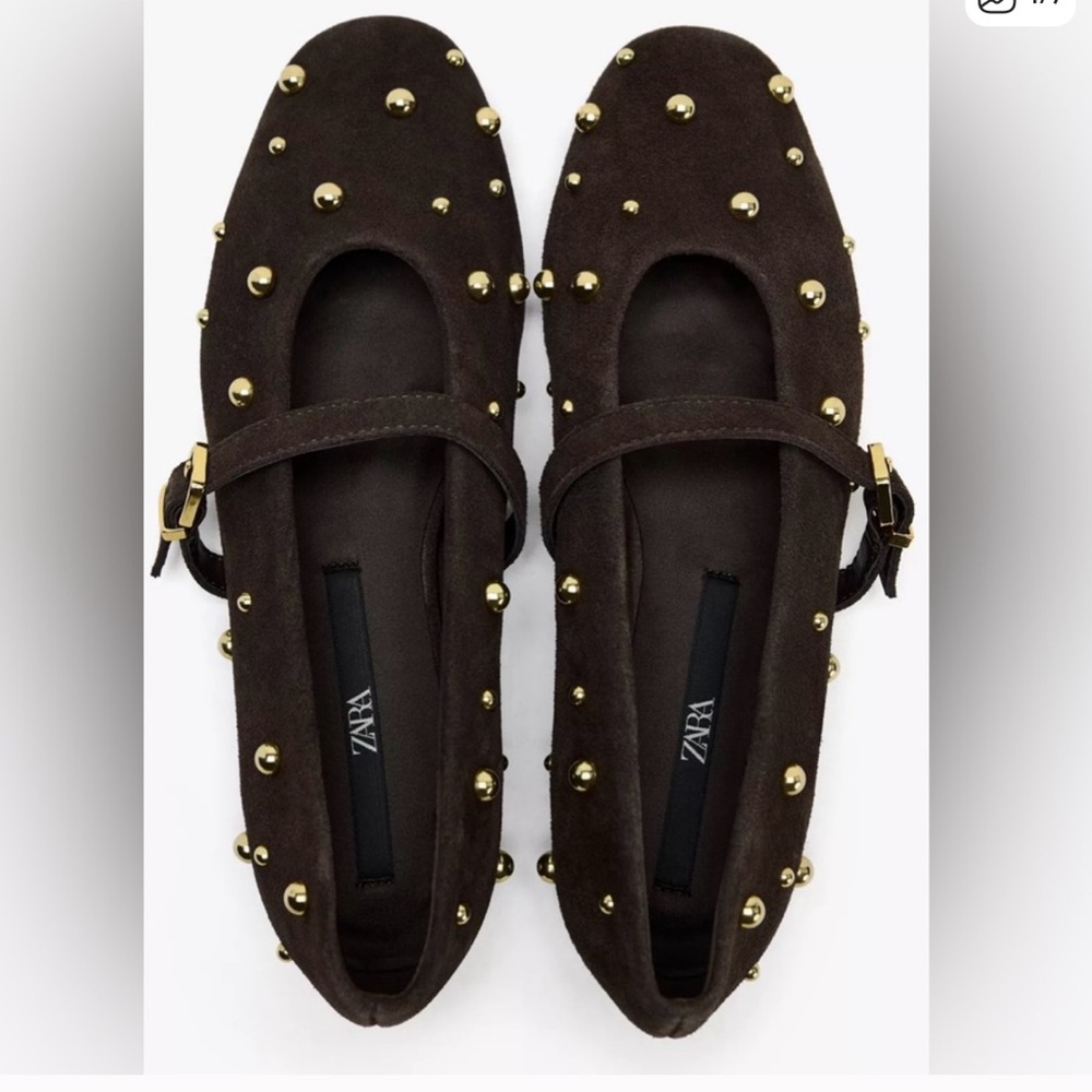 Zara Dark Brown Suede Flats with Gold Studs